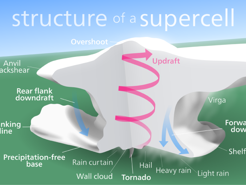 Structure of a supercell